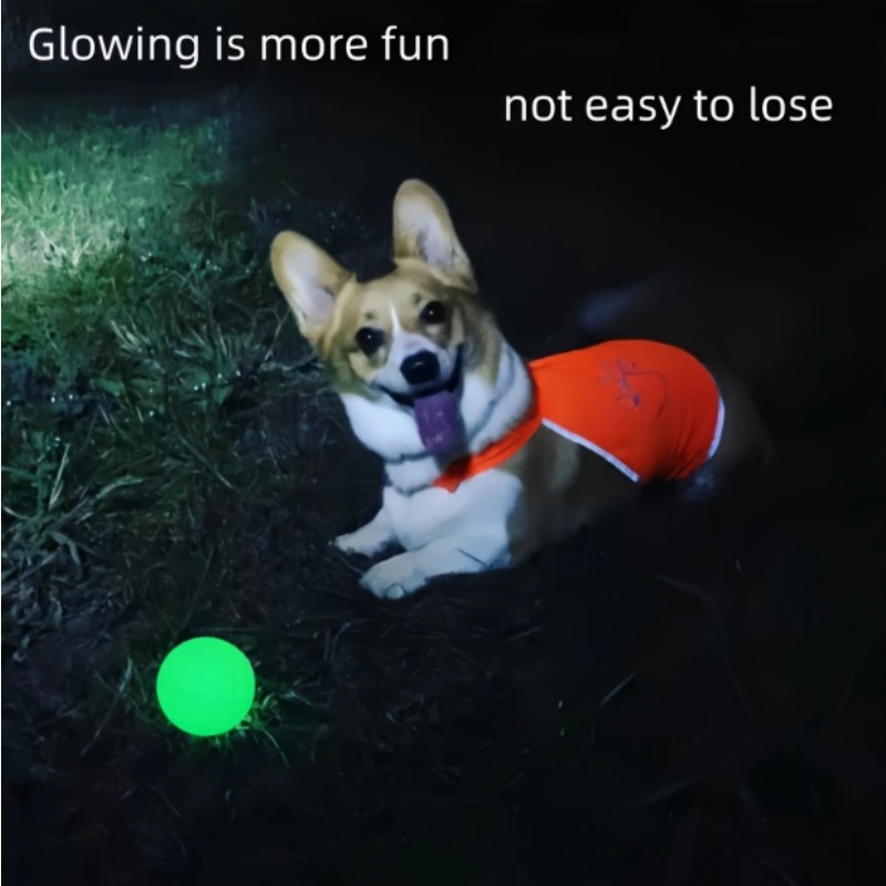 Indestructible Dog Chew Toy - Bola Karet Anjing yang Menyala dalam