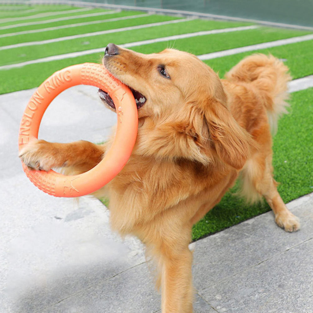 1 buah mainan anjing hewan pel - Snuffle Mat For Dogs ulasan dan harga