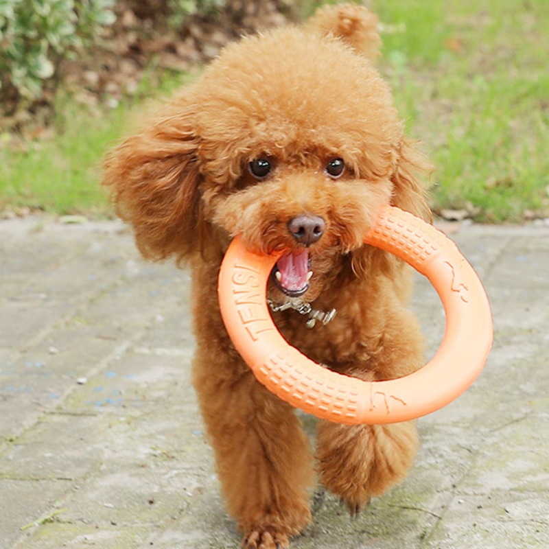 1 buah mainan anjing hewan pel - Snuffle Mat For Dogs ulasan dan harga