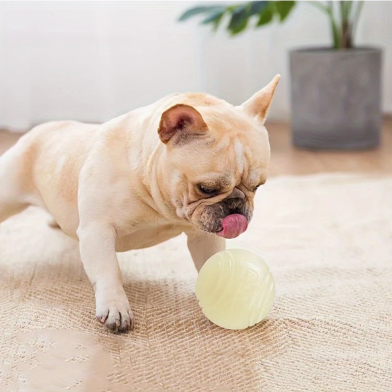 Bola Karet Anjing yang Menyala - Indestructible Dog Chew Toy ulasan dan harga
