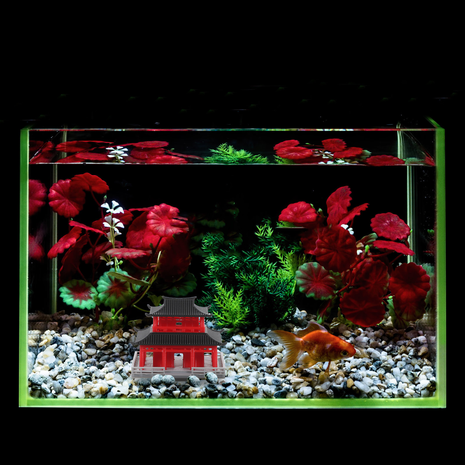 Paviliun Mini Pagoda Arsitektu - Aquarium ulasan dan harga