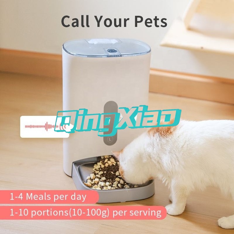 Produk Pengumpan Otomatis Mult - Pet Feeders ulasan dan harga