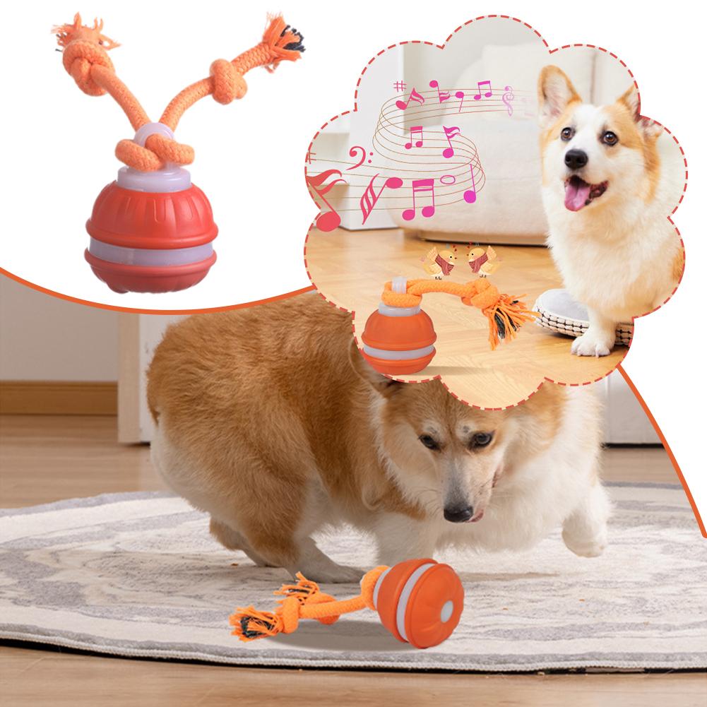 Bola Anjing Pintar Isi Ulang,  - Automatic Moving Dog Ball ulasan dan harga