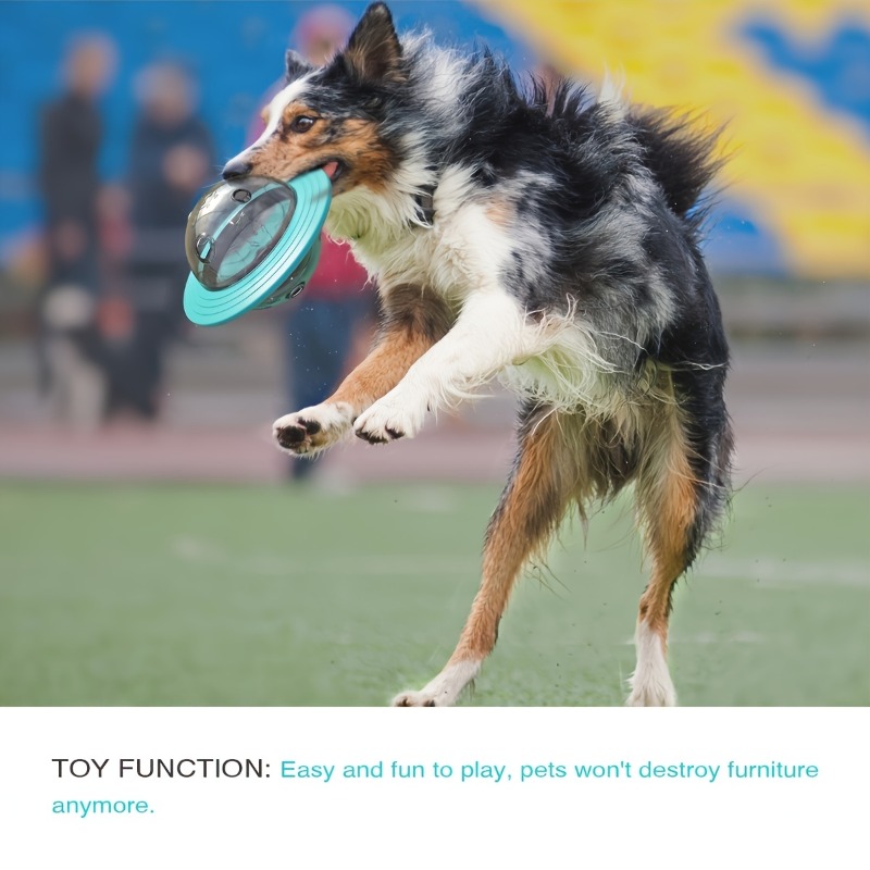 Mainan Bola Anjing Desain Inte - Dog Puzzle Feeder Toy ulasan dan harga