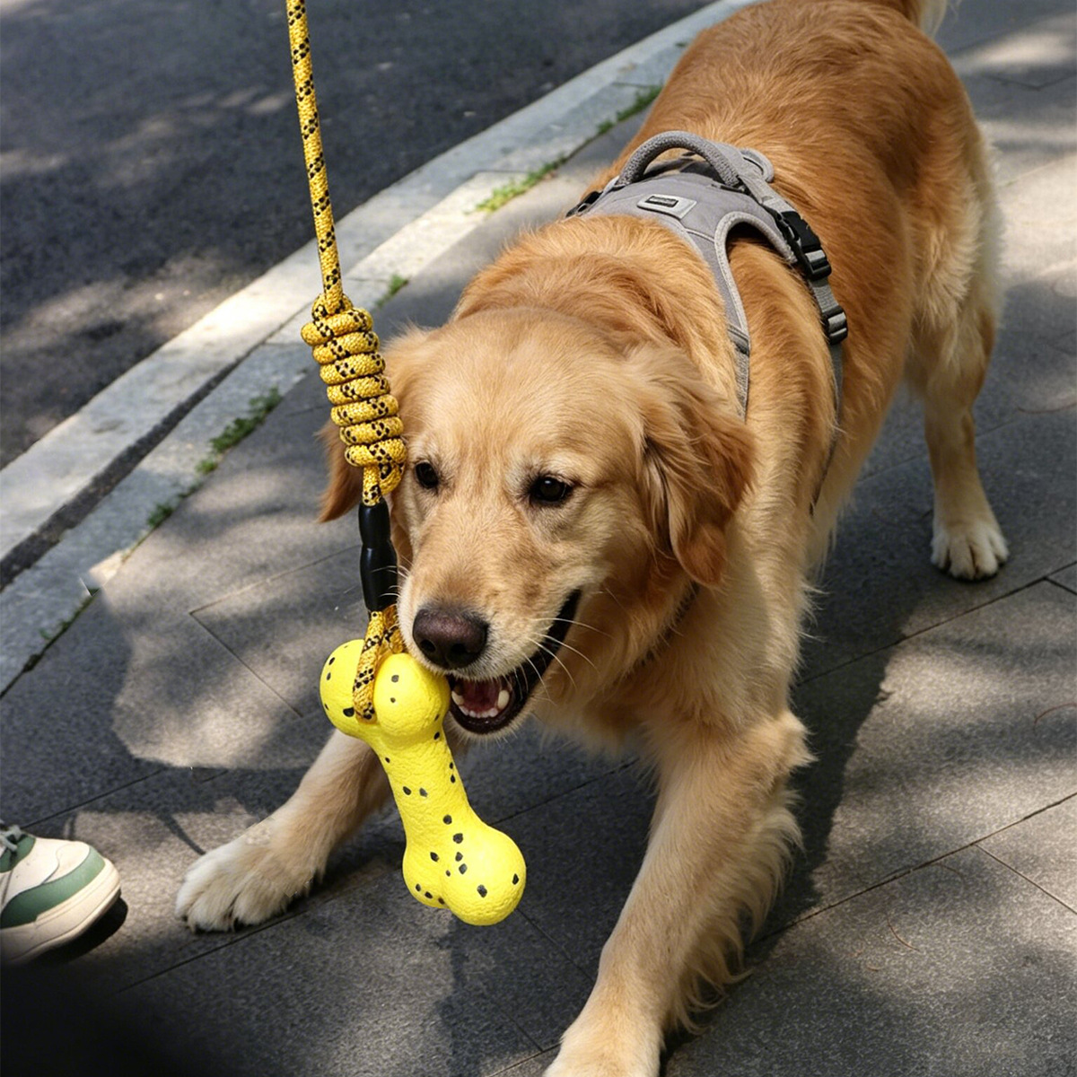 Mainan Tali Tarik Anjing yang  - Dog Rope Toy Aggressive Chewers ulasan dan harga