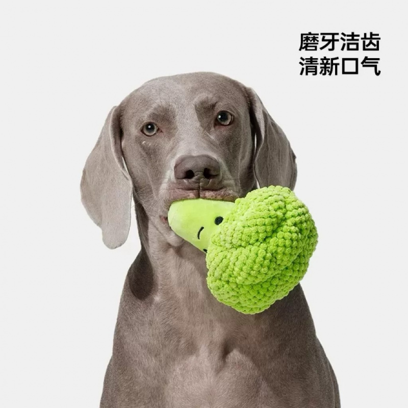 Mainan suara anjing untuk meng - Interactive Squeaky Plush Dog Toy ulasan dan harga