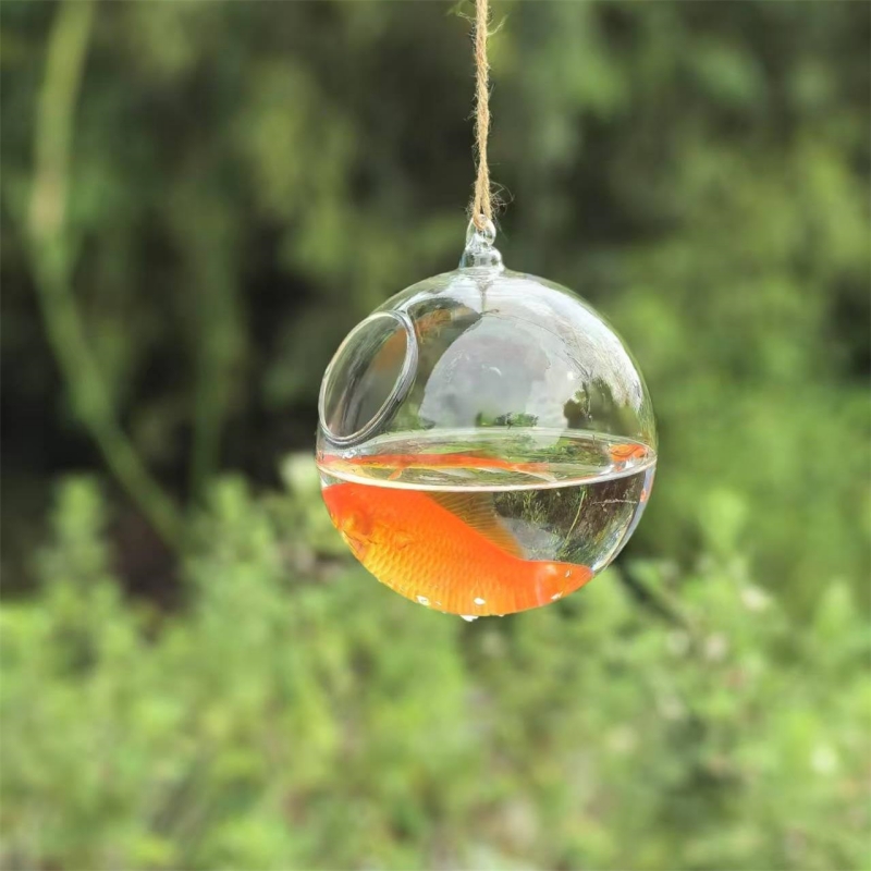 Diameter Kemasan Kecil=10cm 12 - Aquarium ulasan dan harga