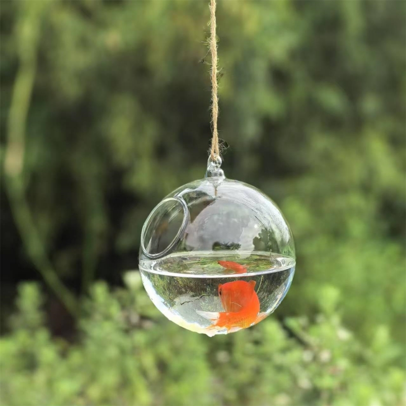 Diameter Kemasan Kecil=10cm 12 - Aquarium ulasan dan harga