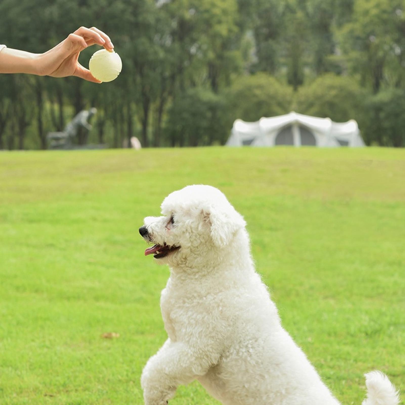 Bola Mainan Anjing Menyala dal - Dog Rope Toy Aggressive Chewers ulasan dan harga