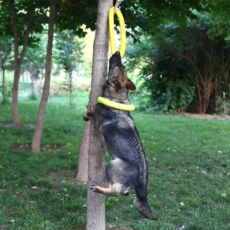 Mainan anjing hewan peliharaan - Suction Cup Dog Tug Toy ulasan dan harga
