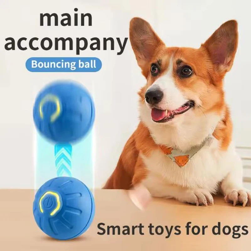 Bola Mainan Interaktif Cerdas  - Automatic Moving Dog Ball ulasan dan harga