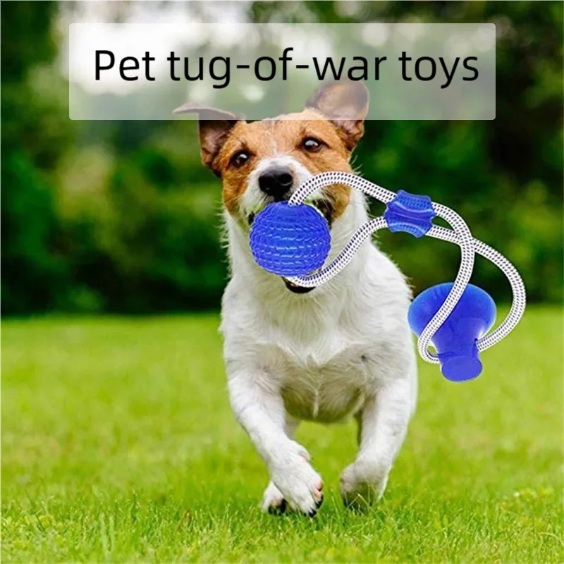 Mainan Tarik Anjing dengan Suc - Suction Cup Dog Tug Toy ulasan dan harga