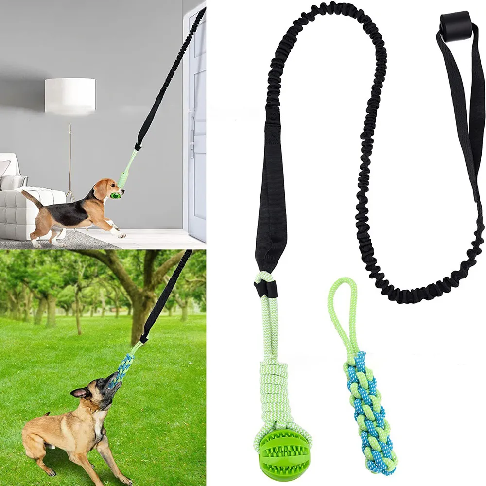 Mainan Anjing Interaktif Tarik - Suction Cup Dog Tug Toy ulasan dan harga
