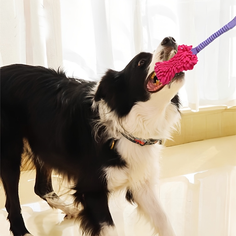 Mainan Anjing Tahan Lama untuk - Indestructible Dog Chew Toy ulasan dan harga