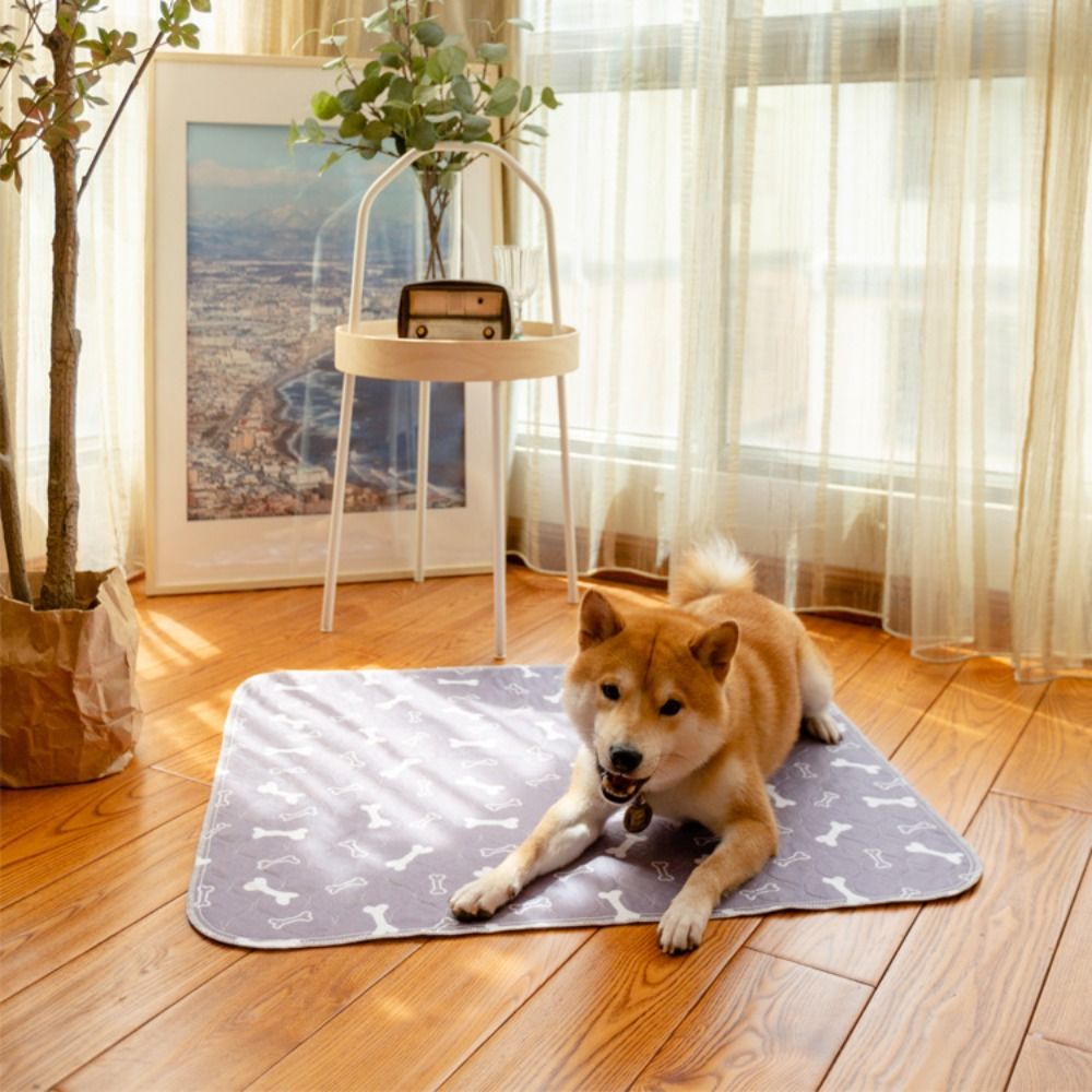 Alas Tidur Hewan Peliharaan Su - Pet Beds ulasan dan harga