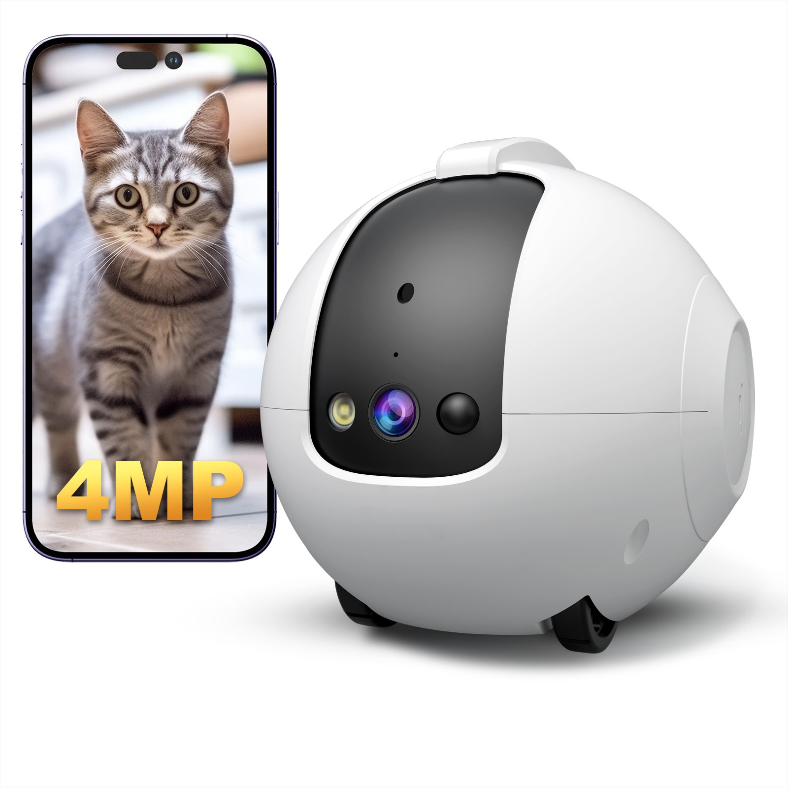 Kamera Robot untuk Hewan Pelih - Cat Toys ulasan dan harga